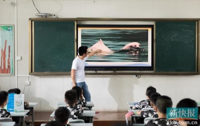 廣東自然教育蓬勃發展 逾三百陣地賦能生態文化傳播與產業發展